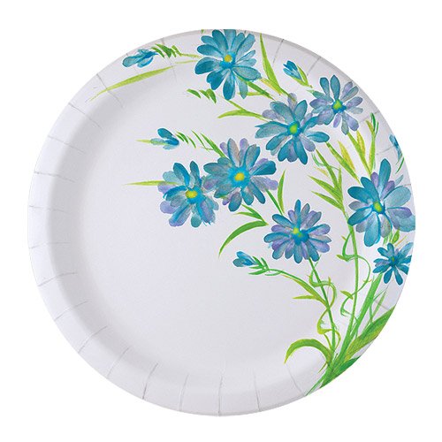 Nicole Home Collection 48 Count Everyday Paper Plate, 8-5/8-Inch, Blue Floral