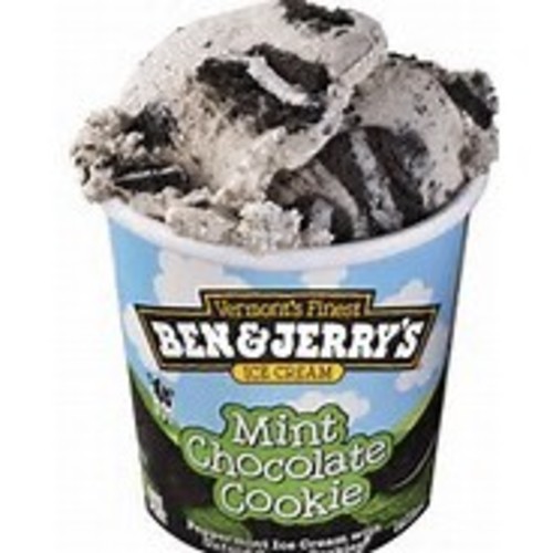 Ben & Jerry’s Ice Cream Mint Chocolate Cookie