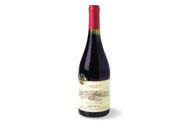 Garzón Vino Single Vineyard Pinot Noir 750 Ml
