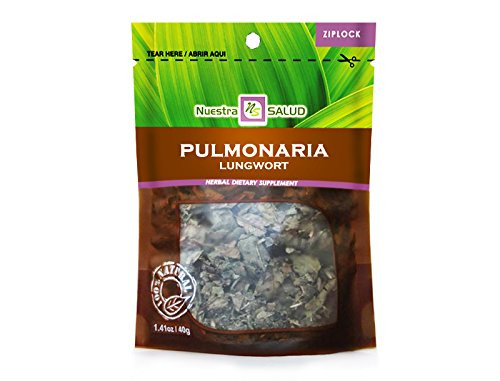 Pulmonaria - Lungwort Herbal Infusion Tea