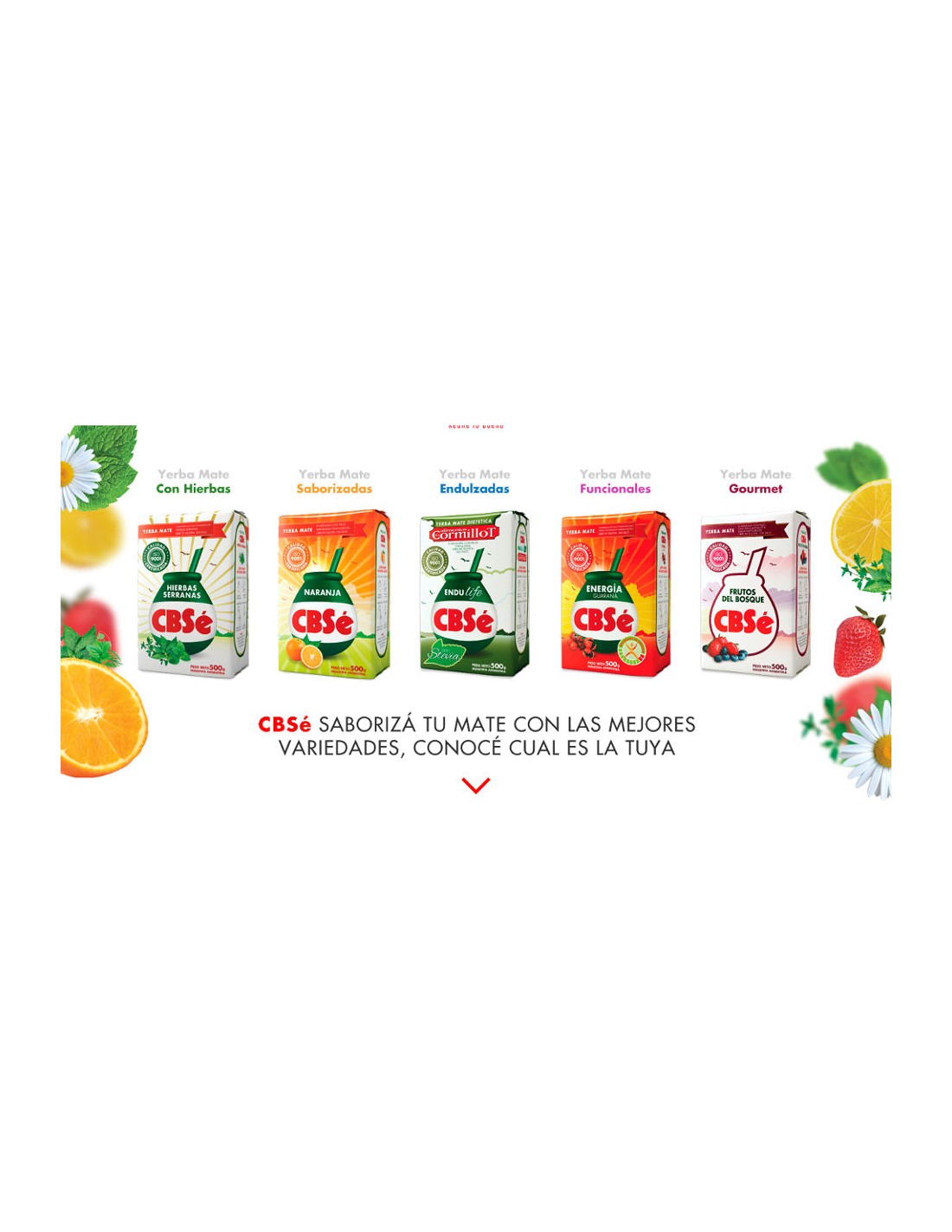 Cbse Yerba Mate Pomelo 500 Gr