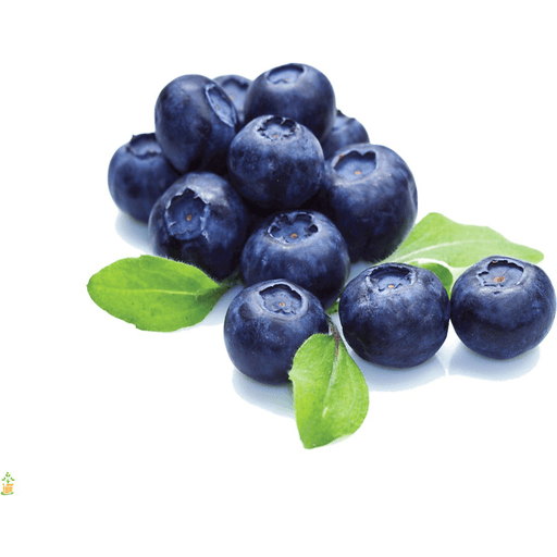 Manufacturer Blueberries Pint