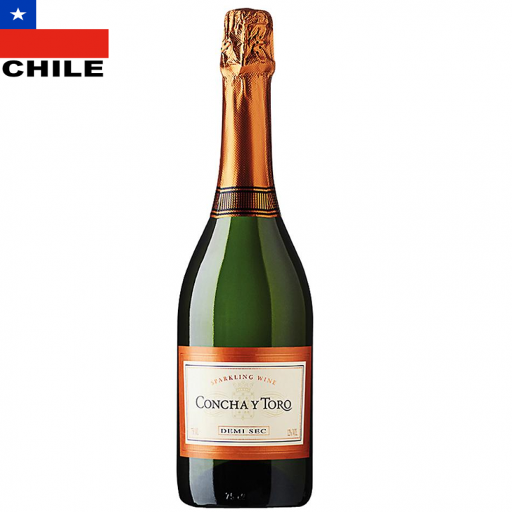 Concha Y Toro Champagne Semi Seco 750 Ml