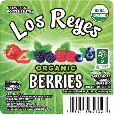 Michoacana 4season Farm Blackberries