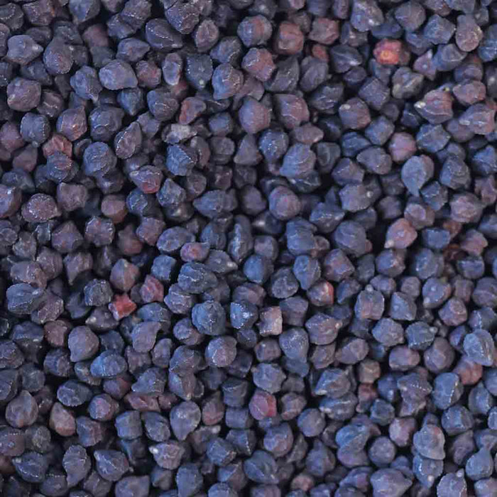 Rancho Gordo Heirloom Black Garbanzo Beans, 1lb