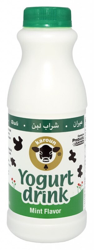 Karoun Yogurt Drink, Mint Flavor