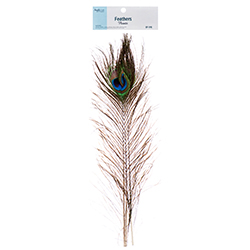 Angels Craft Feathers Peacock