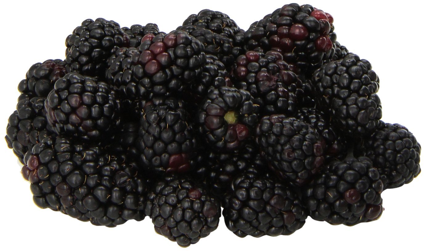Andwing Blackberries