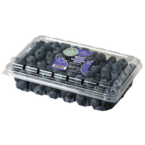 United Exports Blueberries, Fresh, Jumbo 9.8 Oz
