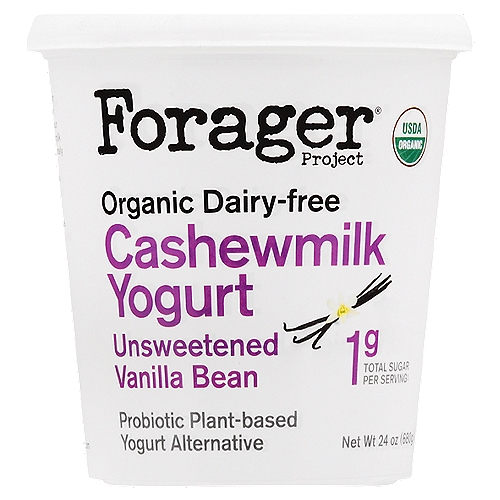 Forager Project Cashewmilk Yogurt, Organic, Unsweetened Vanilla Bean, Probiotic 24 Oz