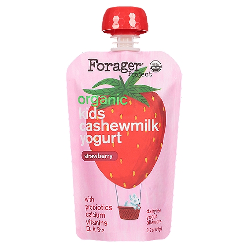 Forager Project Organic Kids Strawberry Cashewmilk Yogurt