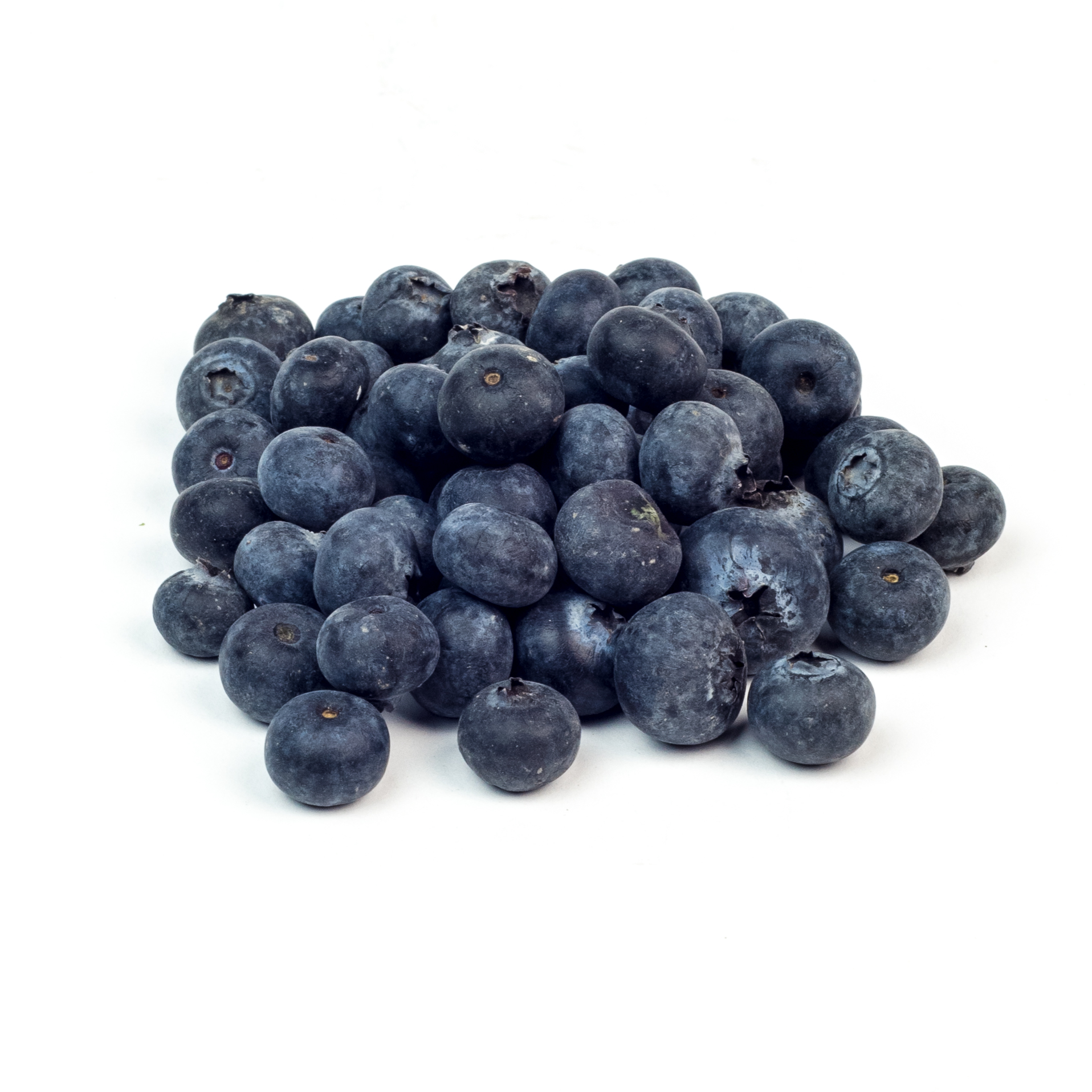 Ozblu Blueberries