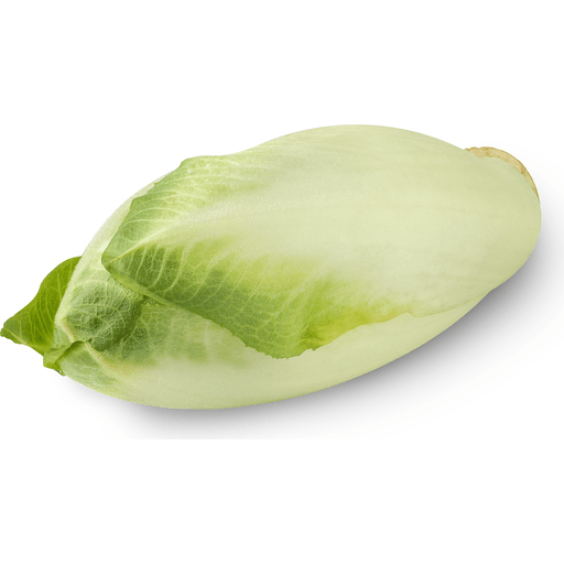 Endive