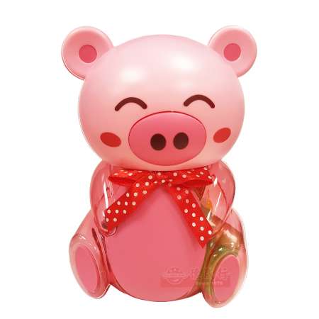 Twin Rabbit Assorted Fruits Jelly, Pig125g