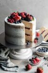Achva Sugarless Beeries Cake