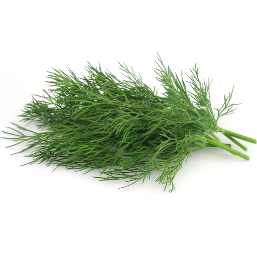 Org Baby Dill