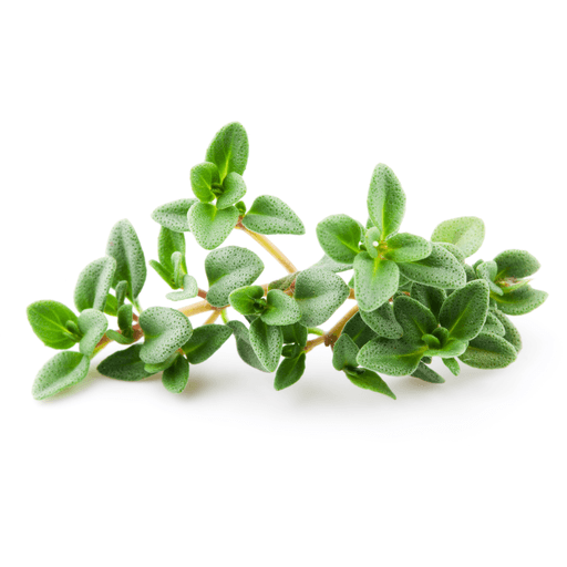 Org Thyme