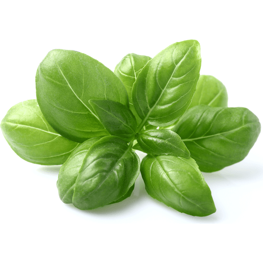 Organic Basil