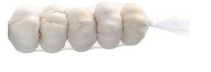 Garlic 5 Sleeves – Each