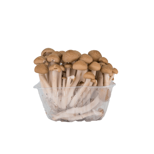 $0.99/Bag W.I.L Mushroom Shimeji Brown 150g