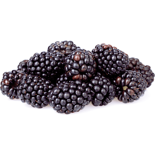 Nature's Partner Blackberries