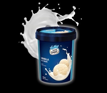 Vadilal Ice Cream Vanilla 500 Ml