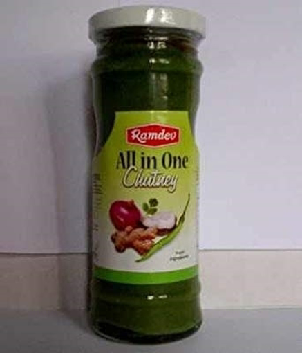 ExoticSuperstore Ramdev All In One Chutney 220g
